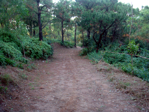 DSC04756.jpg