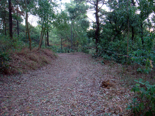 DSC04755.jpg