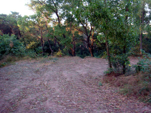 DSC04760.jpg