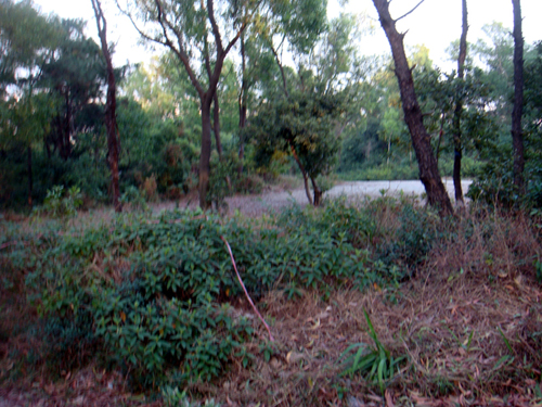 DSC04759.jpg