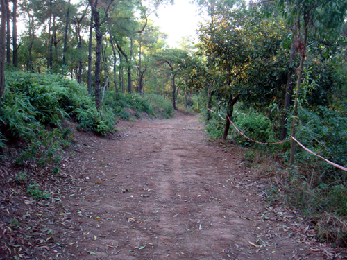 DSC04757.jpg