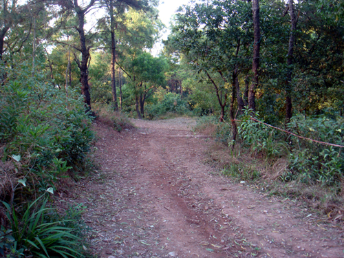 DSC04758.jpg
