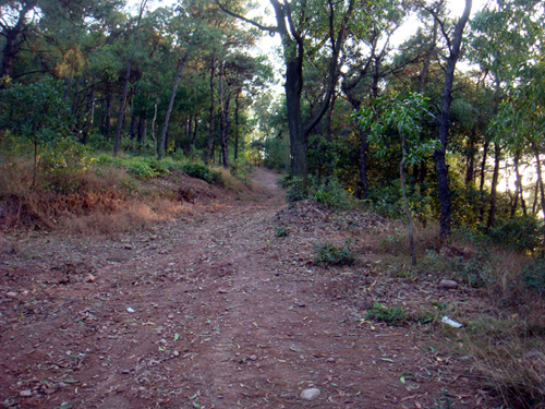 DSC04763.jpg