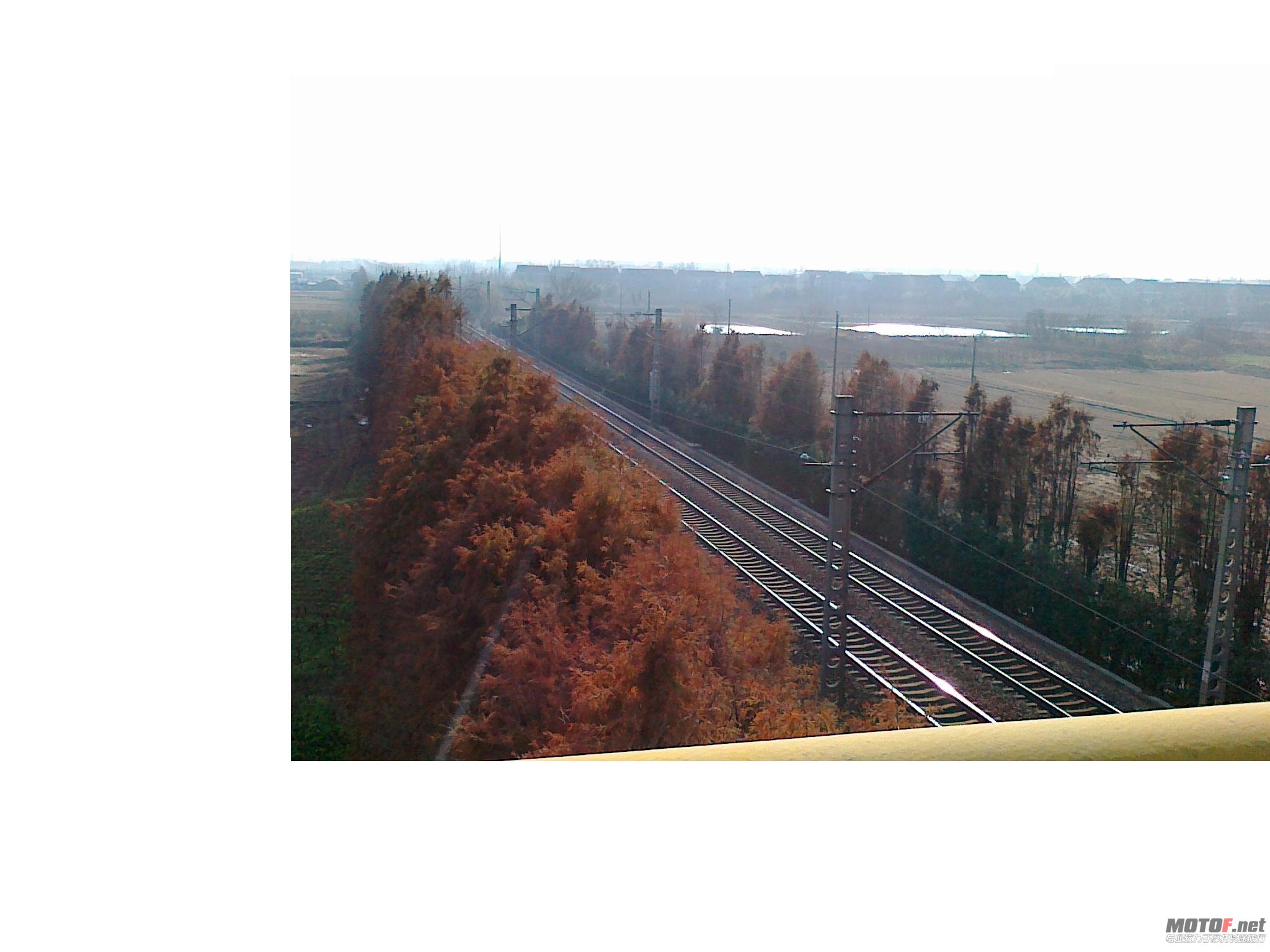 20101227047.jpg