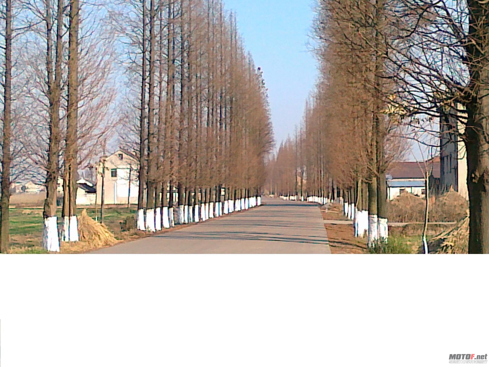 20101227059.jpg