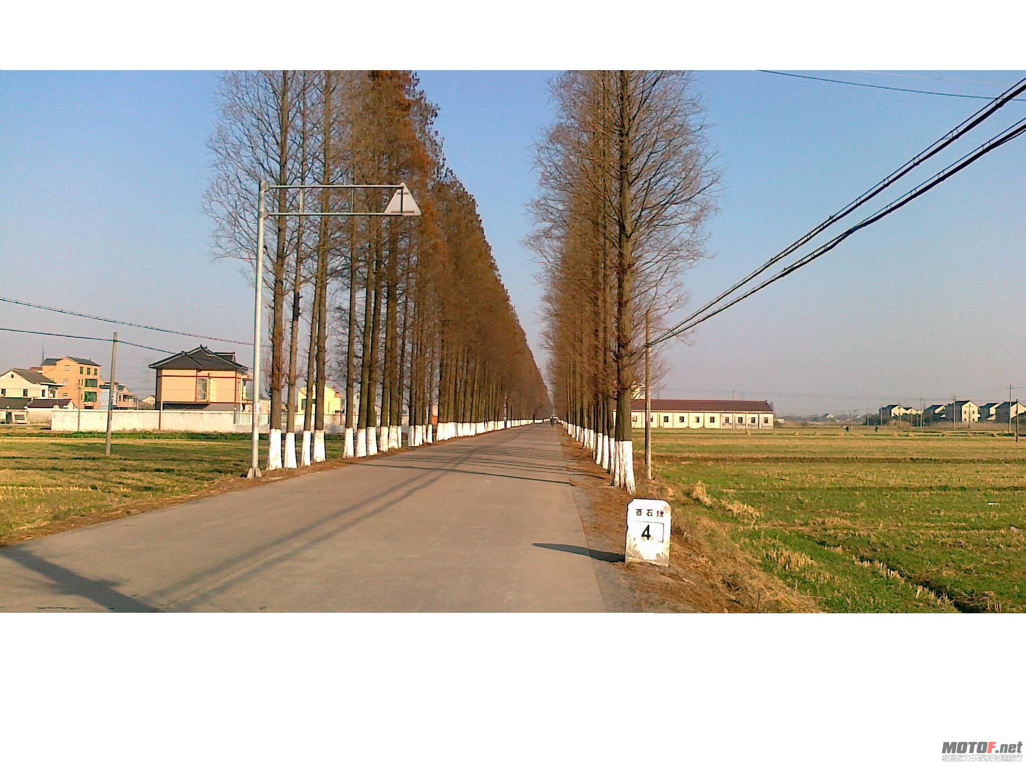 20101227060.jpg