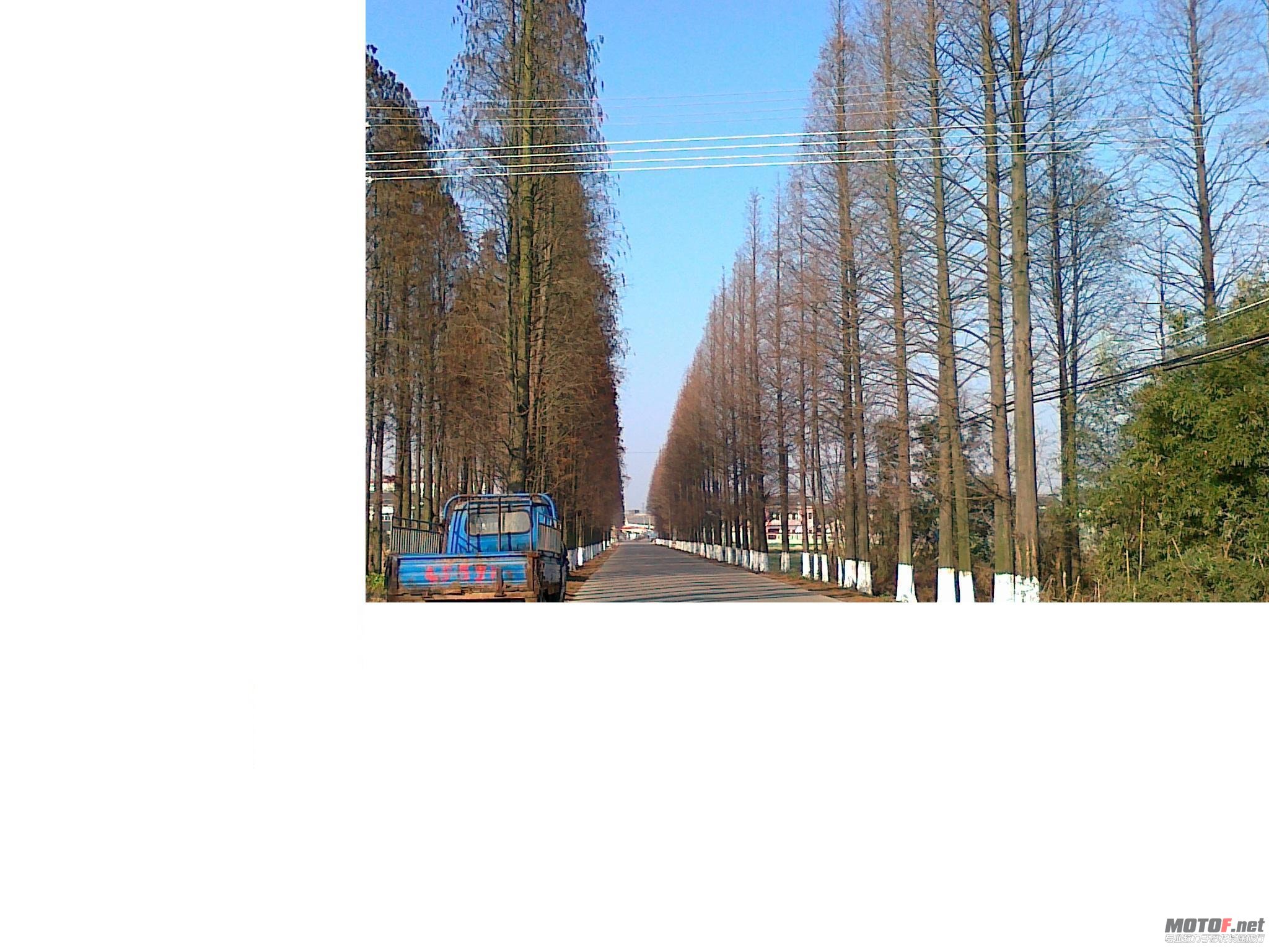 20101227053.jpg