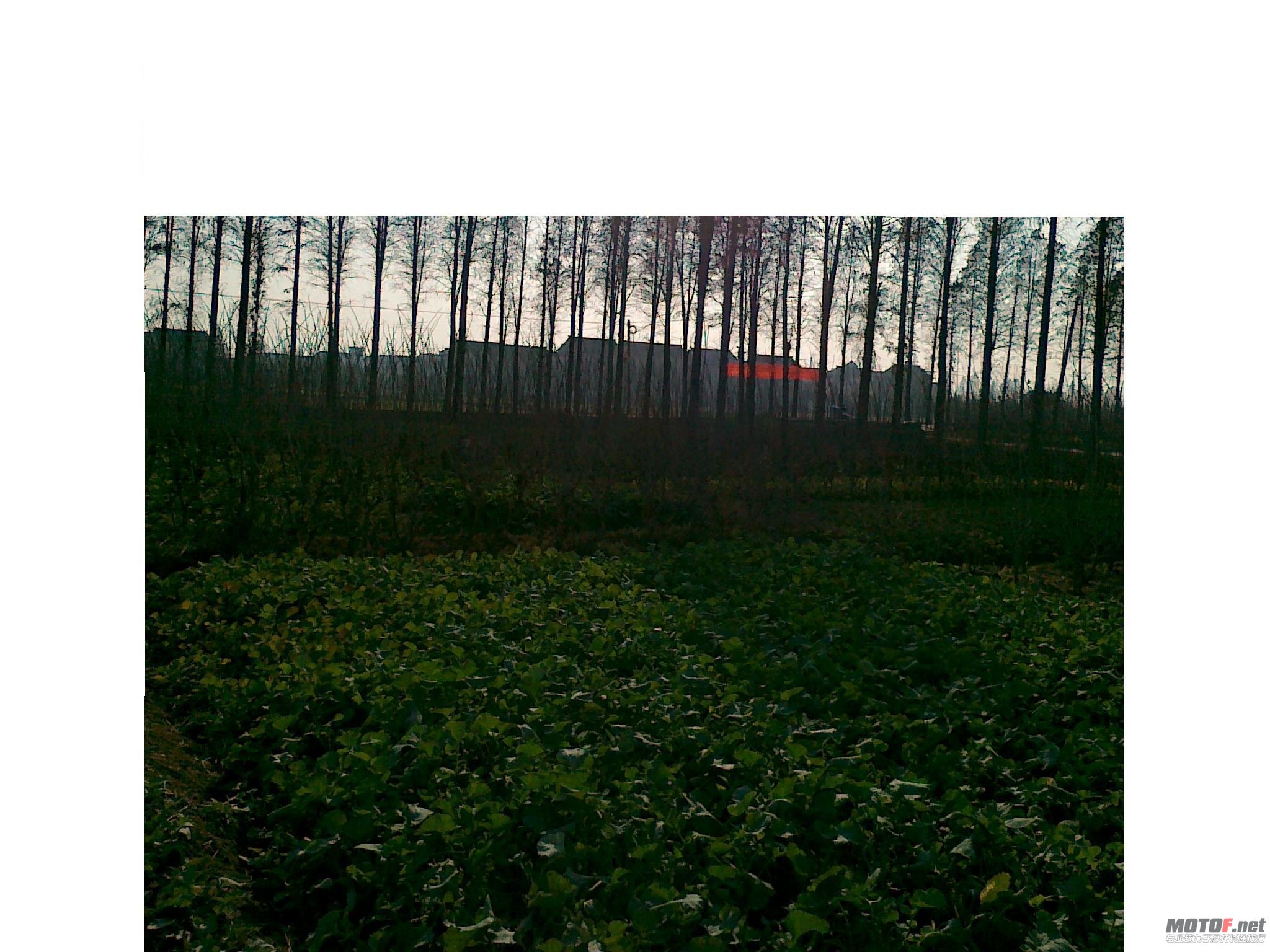 20101227057.jpg