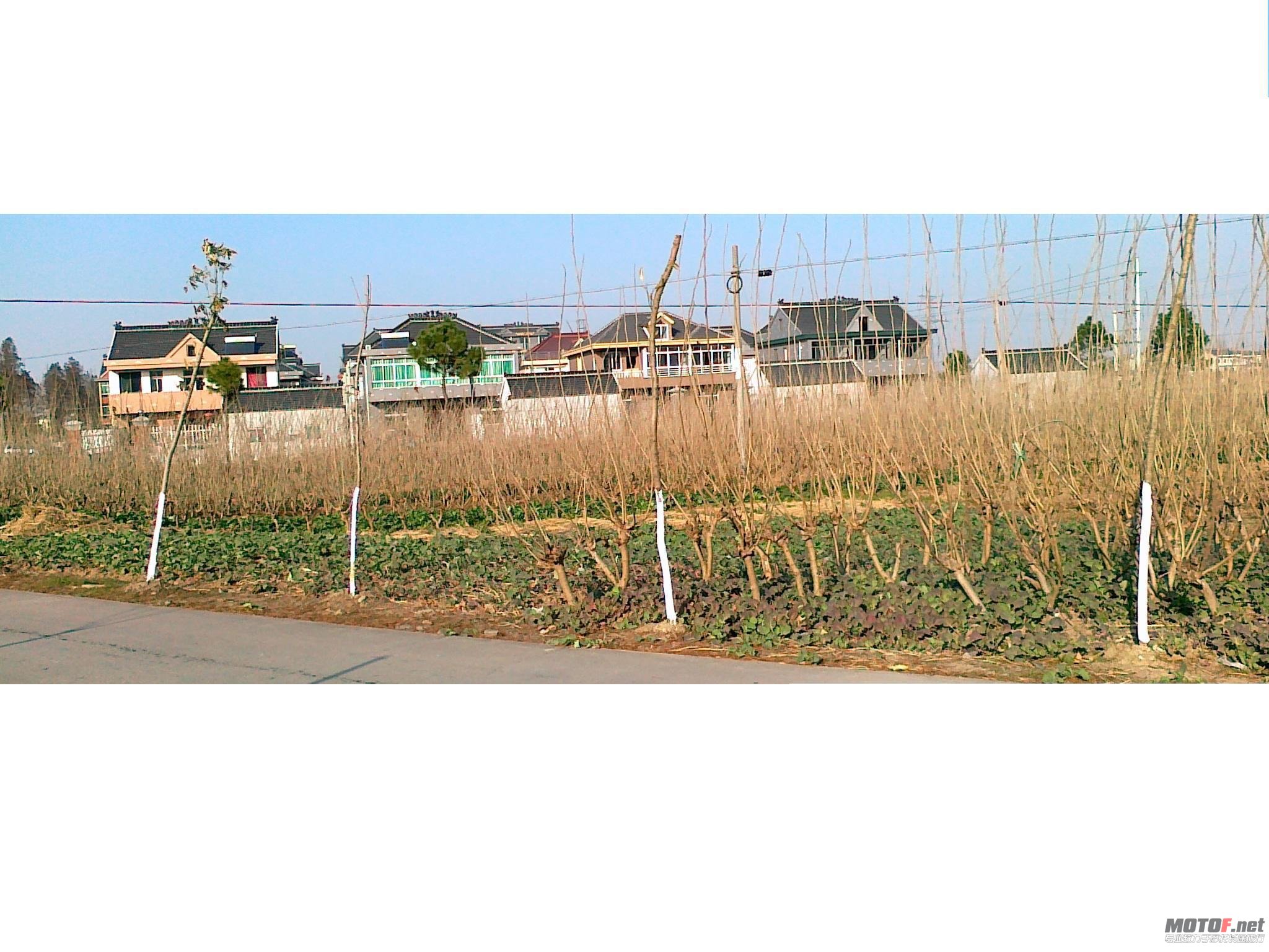 20101227056.jpg