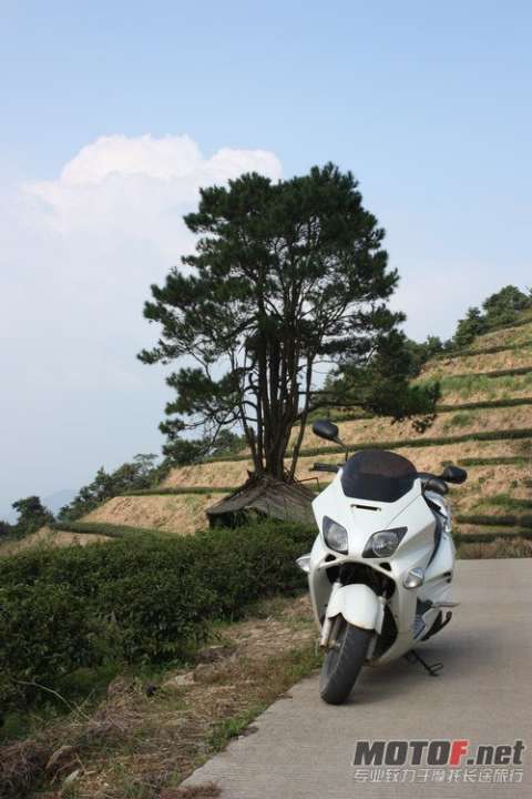HONDA-FORZA 250