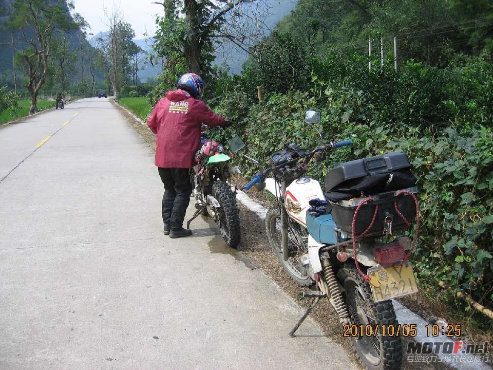 BigBull_IMG_0134.JPG