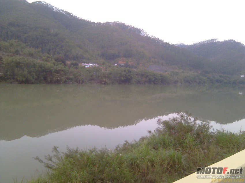 IMAG0294_conew1.jpg