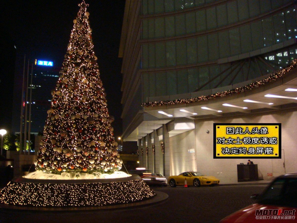 DSC01980.jpg