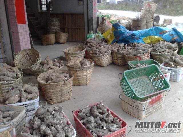 调整大小 20110102277.jpg
