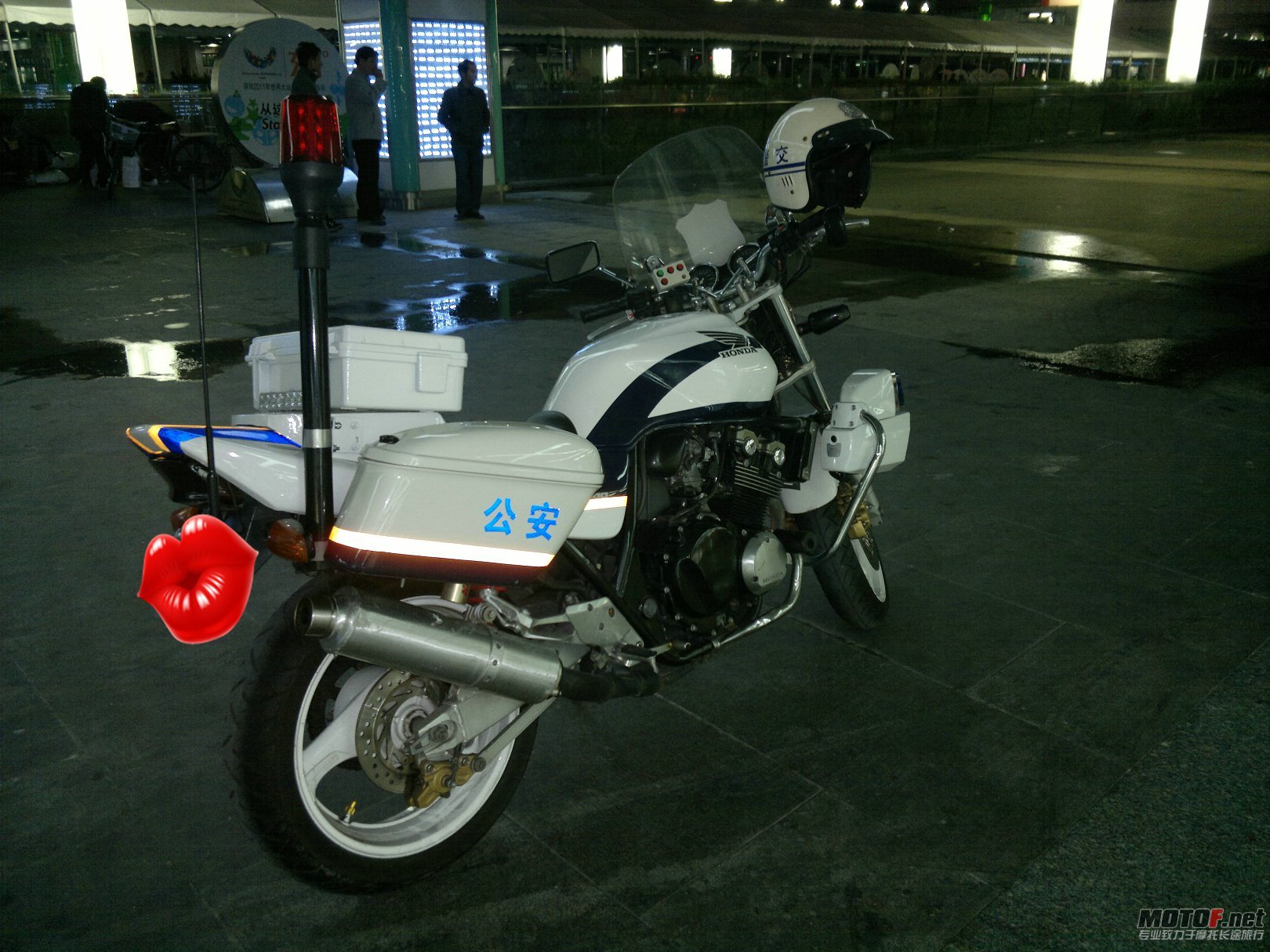 20110112081.jpg