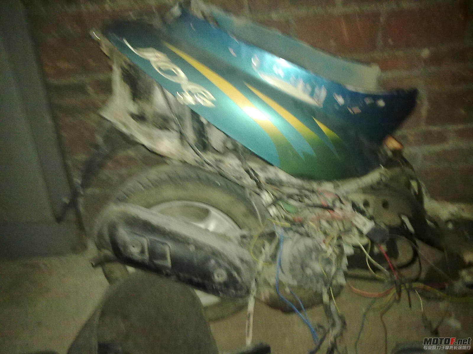 20110113134.jpg