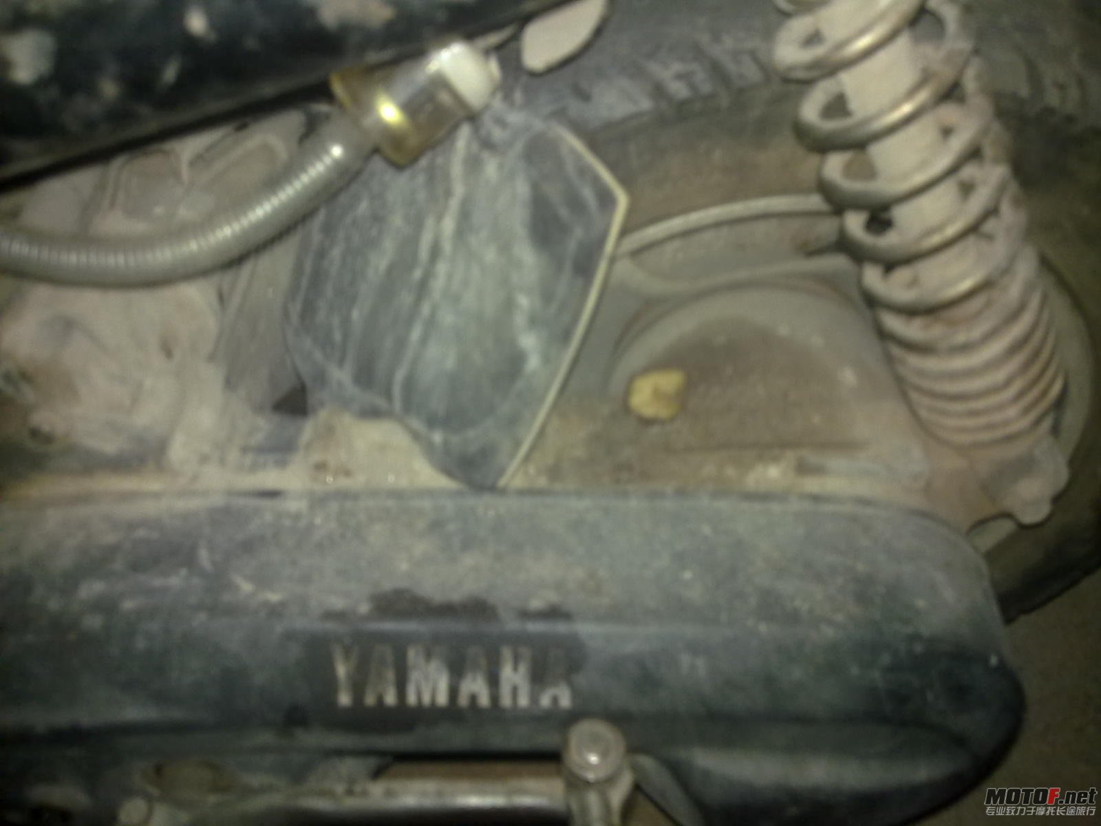 20110113139.jpg