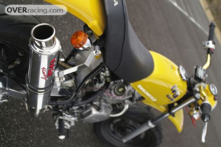 MUFFLER-COMP-RACING-DOWN-TYP-II_36.jpg