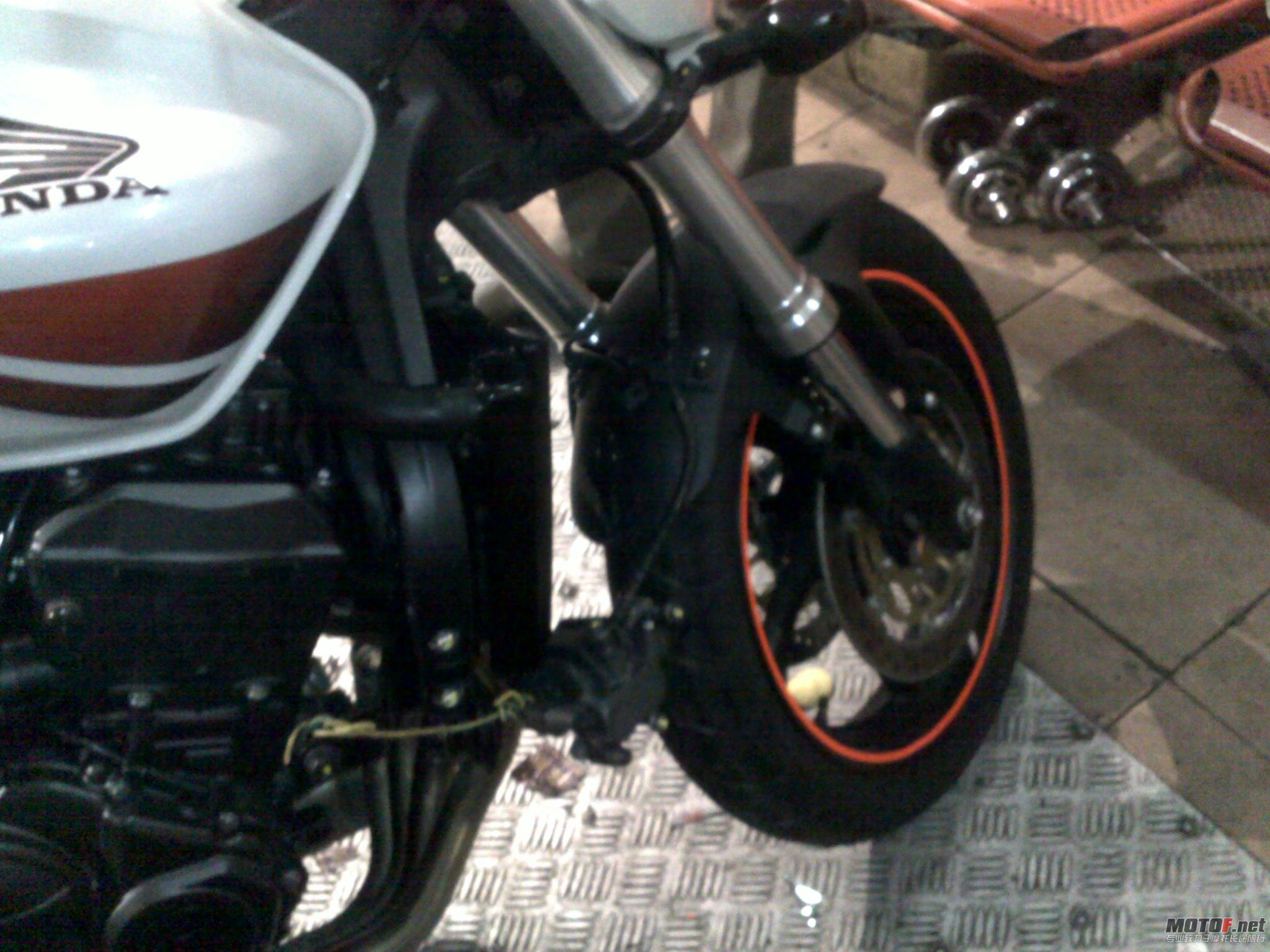 20110104431.jpg