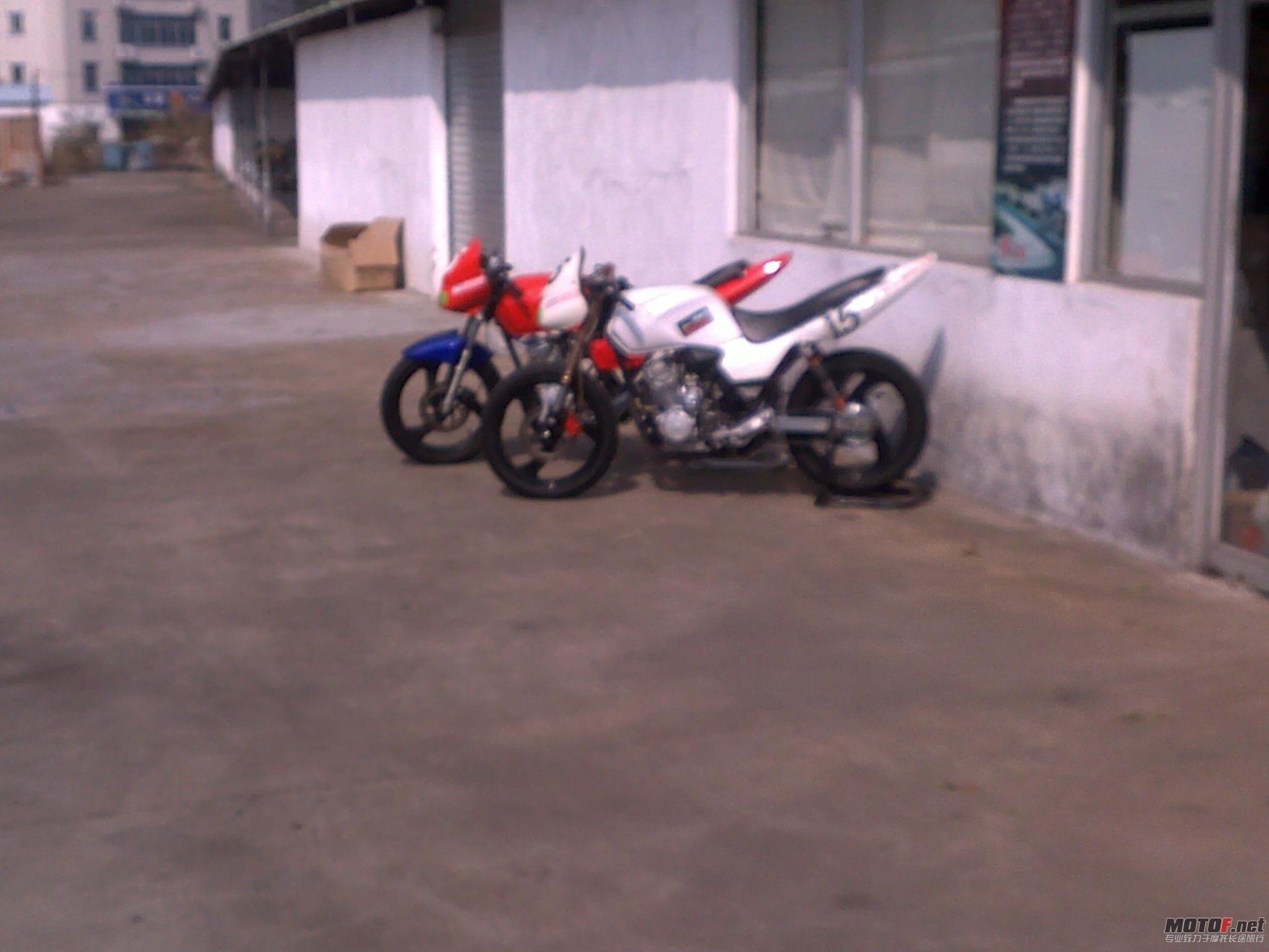 20110108454.jpg