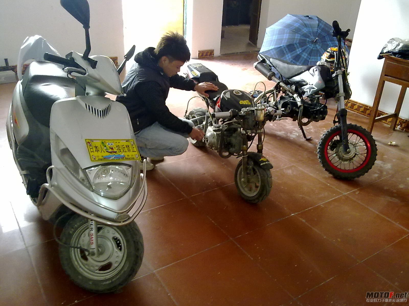 20110118230.jpg