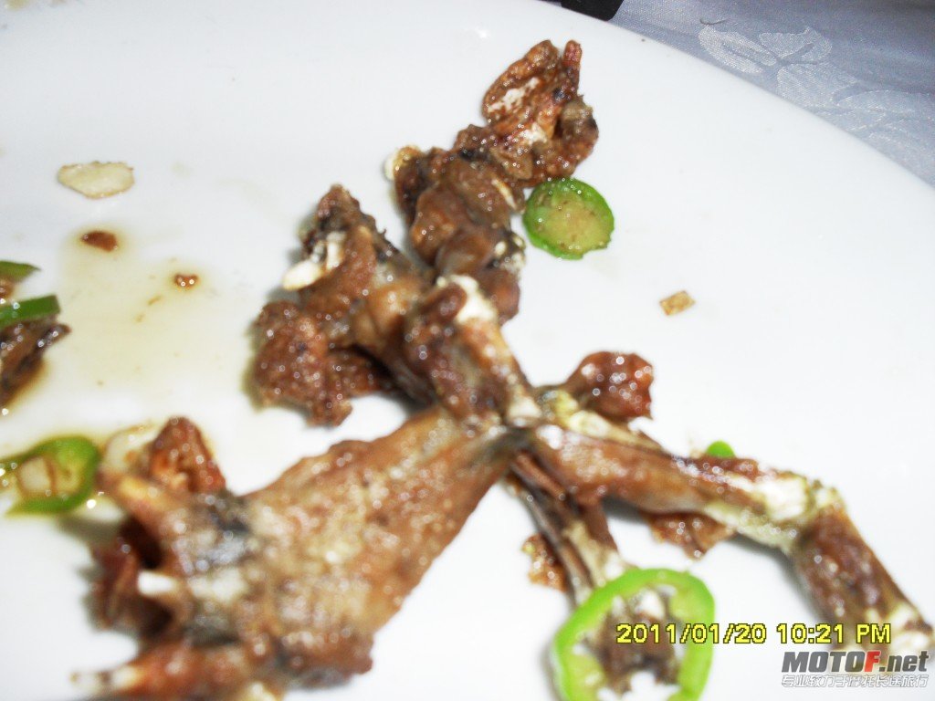 conew_sdc13312.jpg