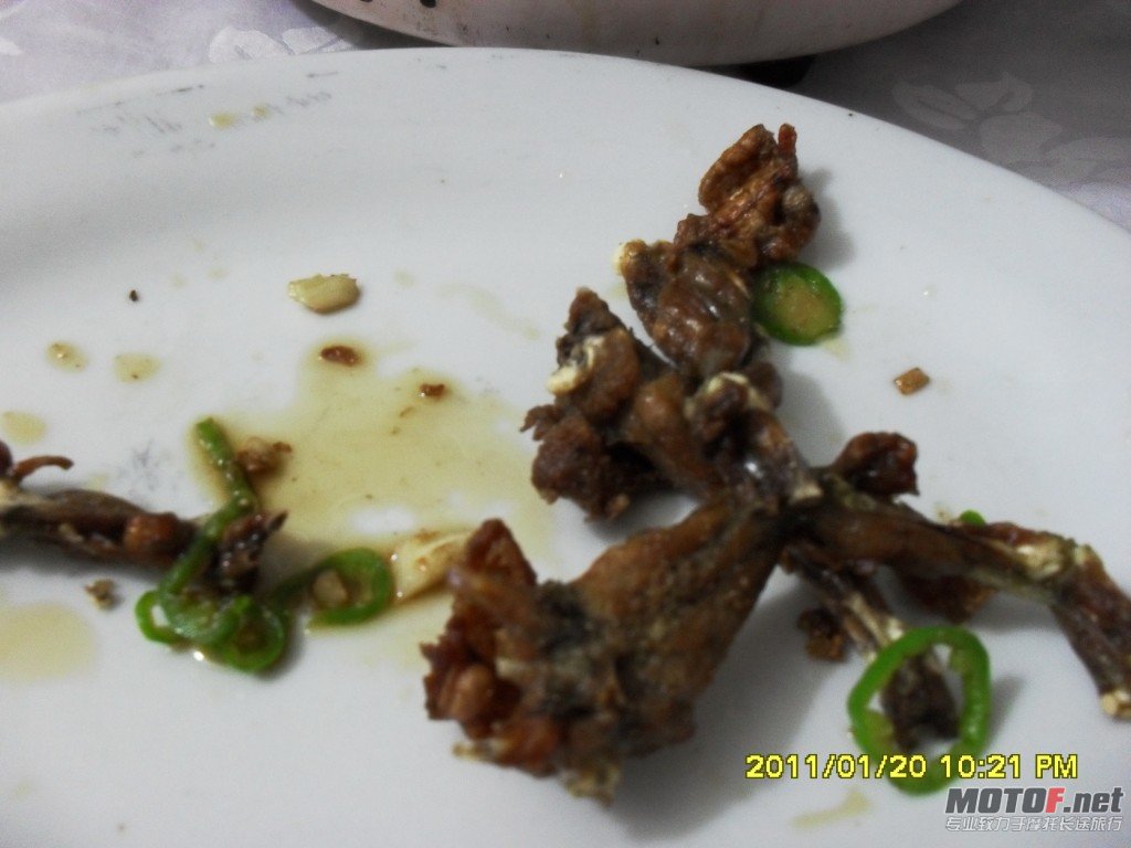 conew_sdc13313.jpg