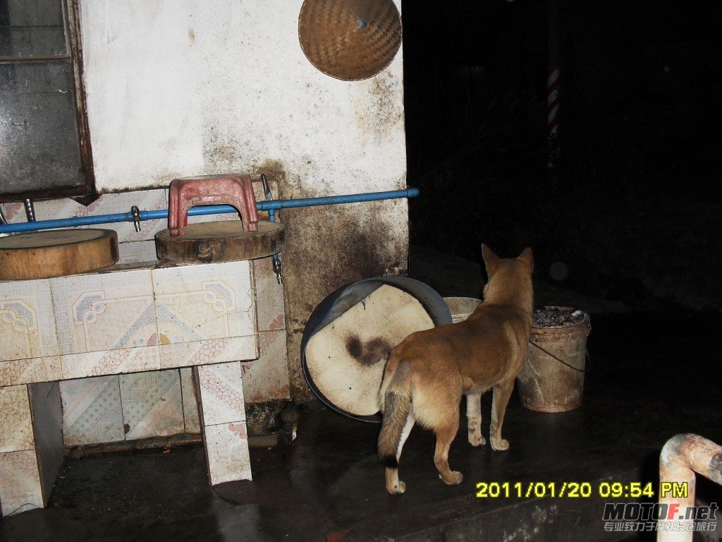 conew_sdc13292.jpg