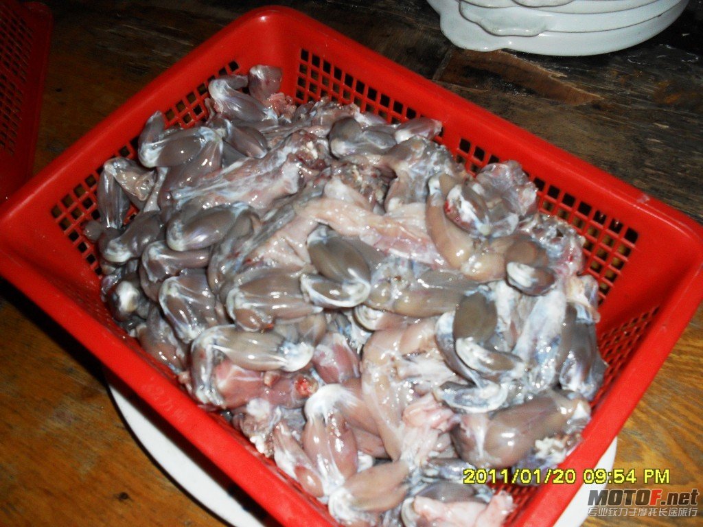 conew_sdc13293.jpg