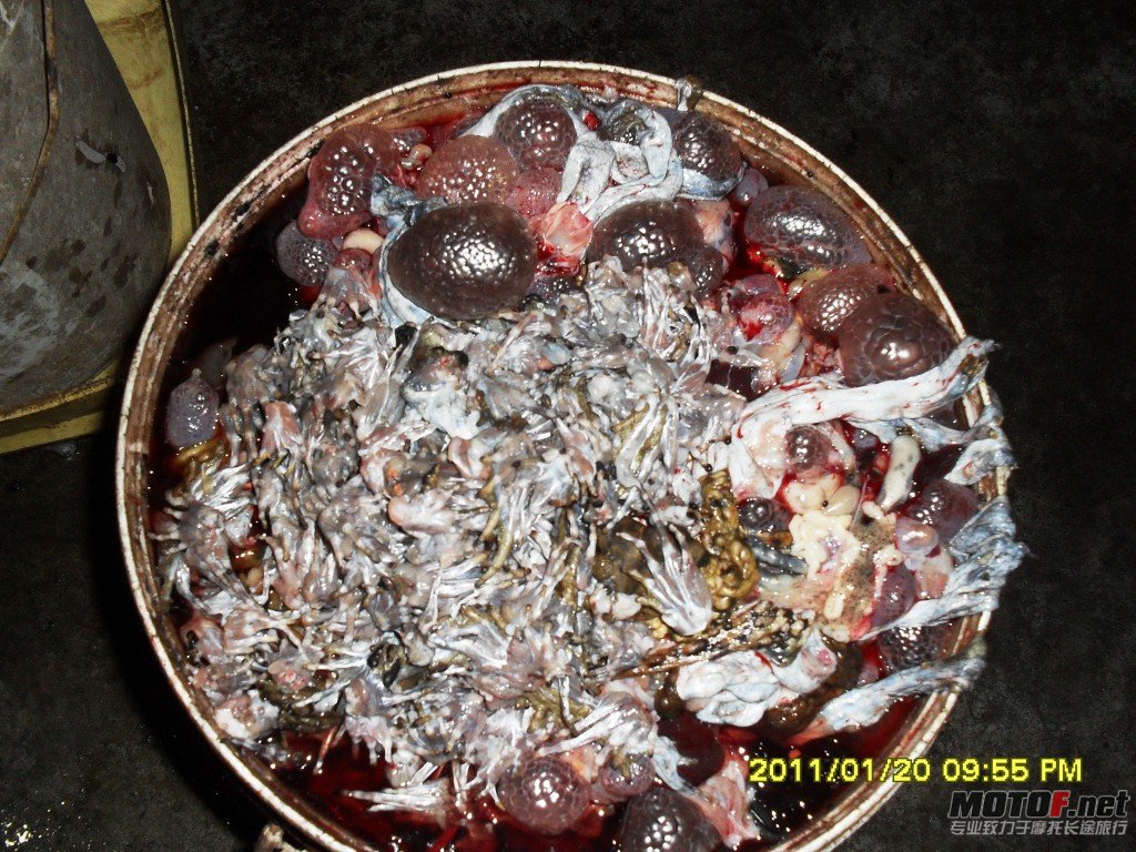 conew_sdc13297.jpg