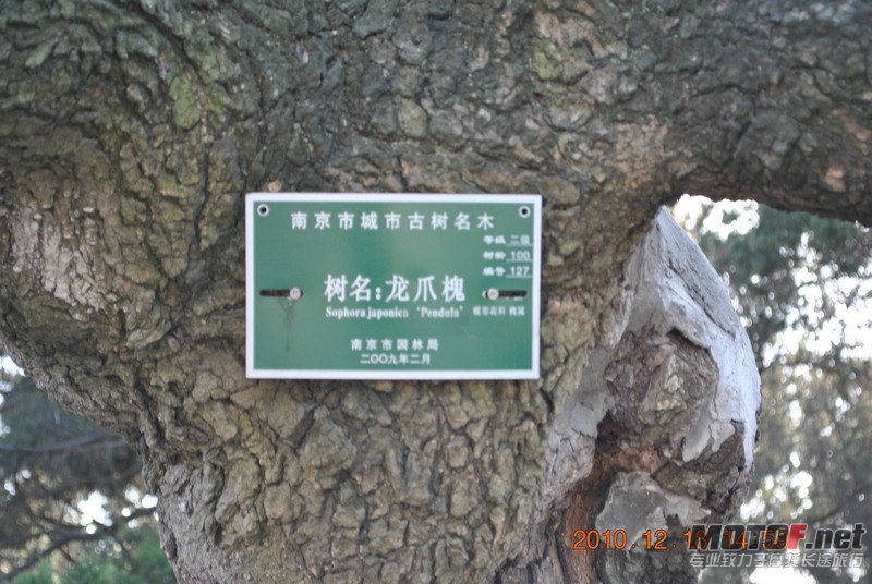 照片 206.jpg