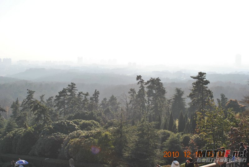 照片 219.jpg