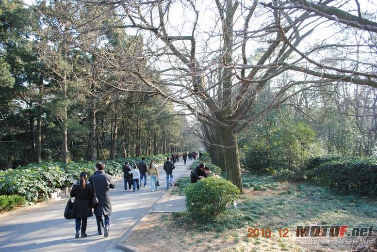 照片 239.jpg