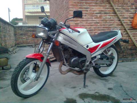 TZR