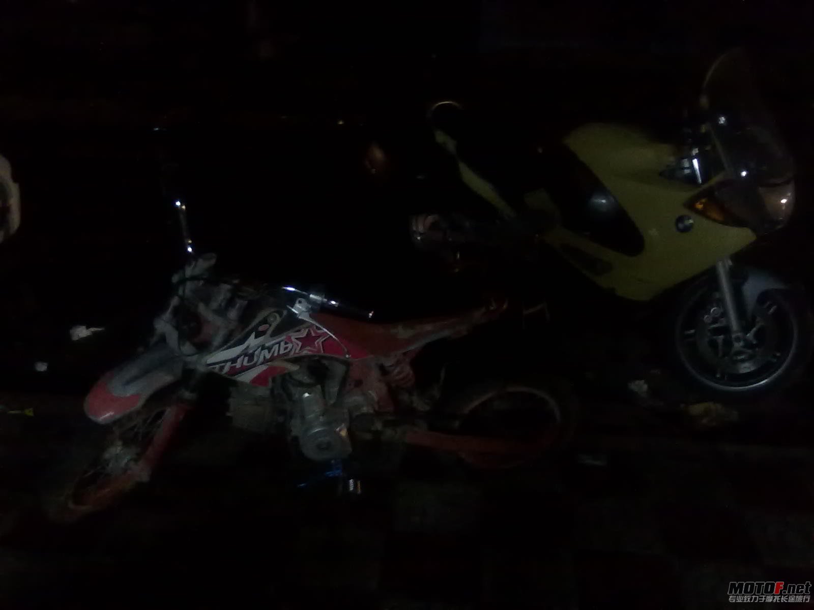 20110122100.jpg