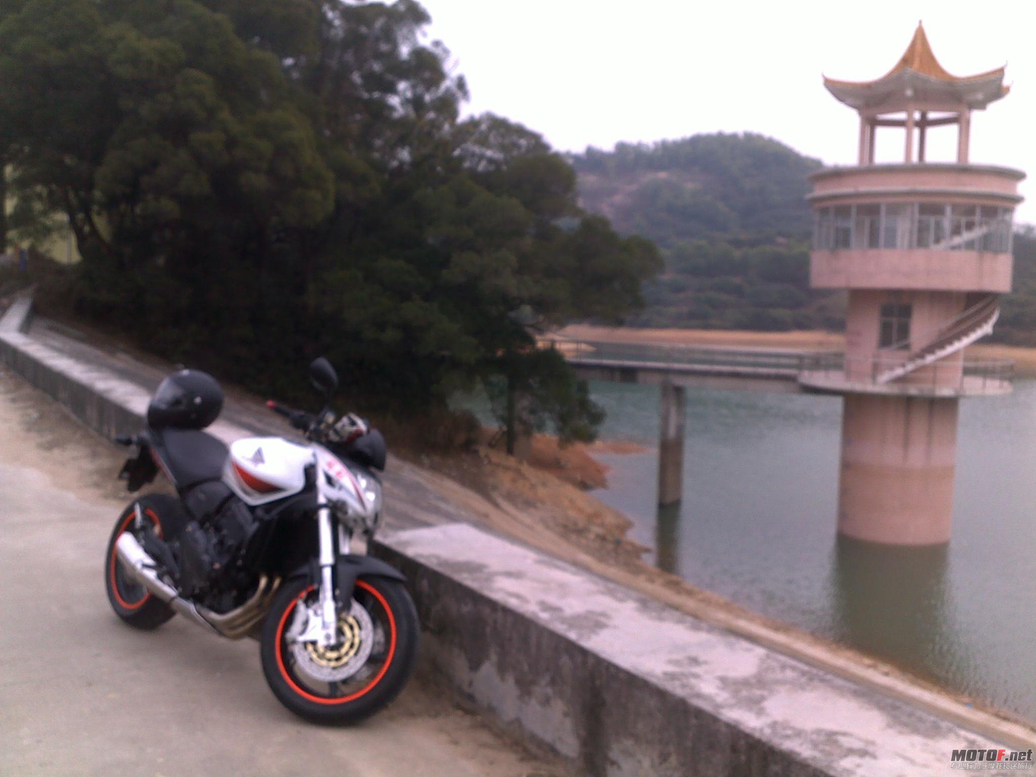 20110123495.jpg