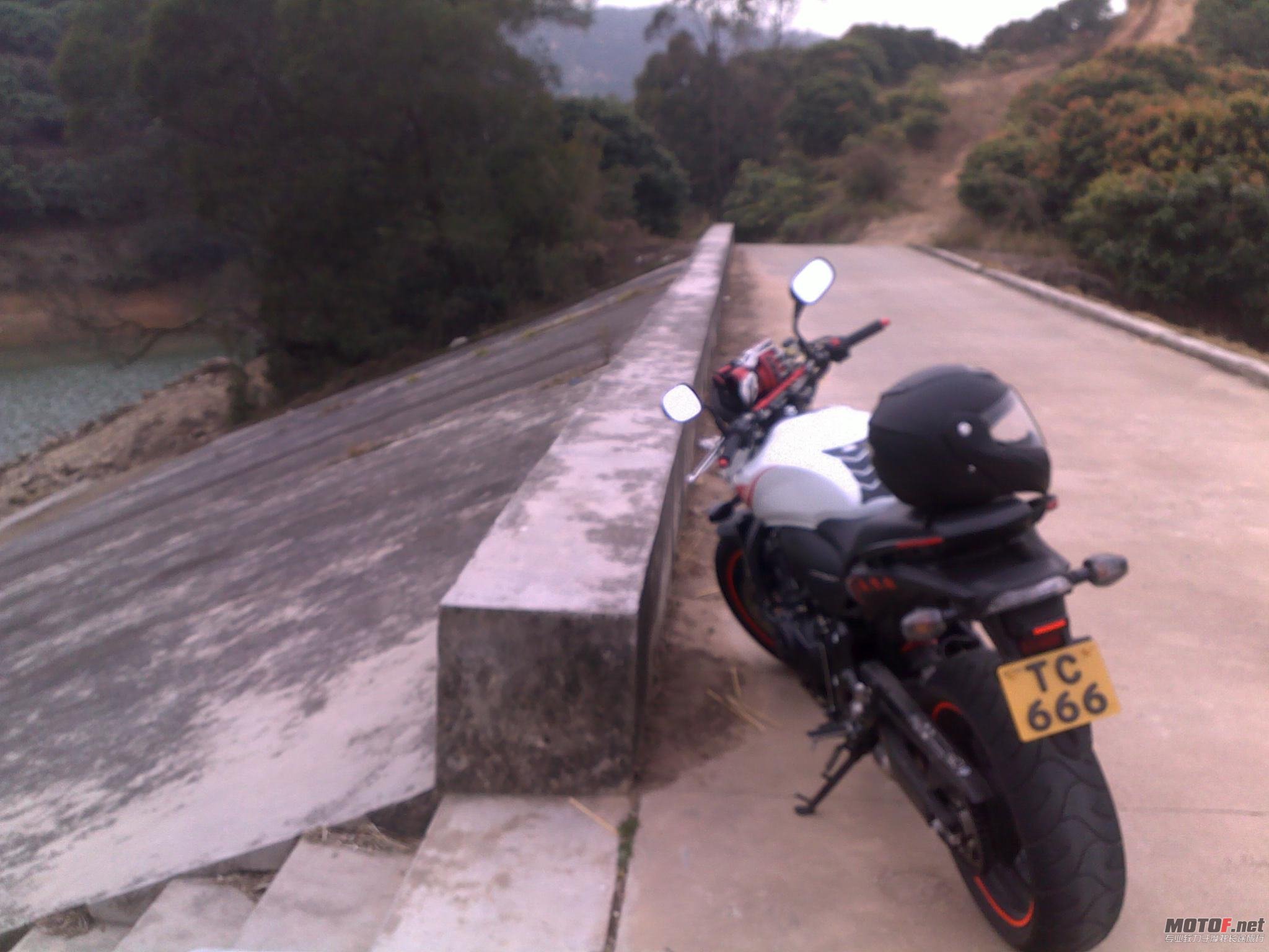 20110123496.jpg