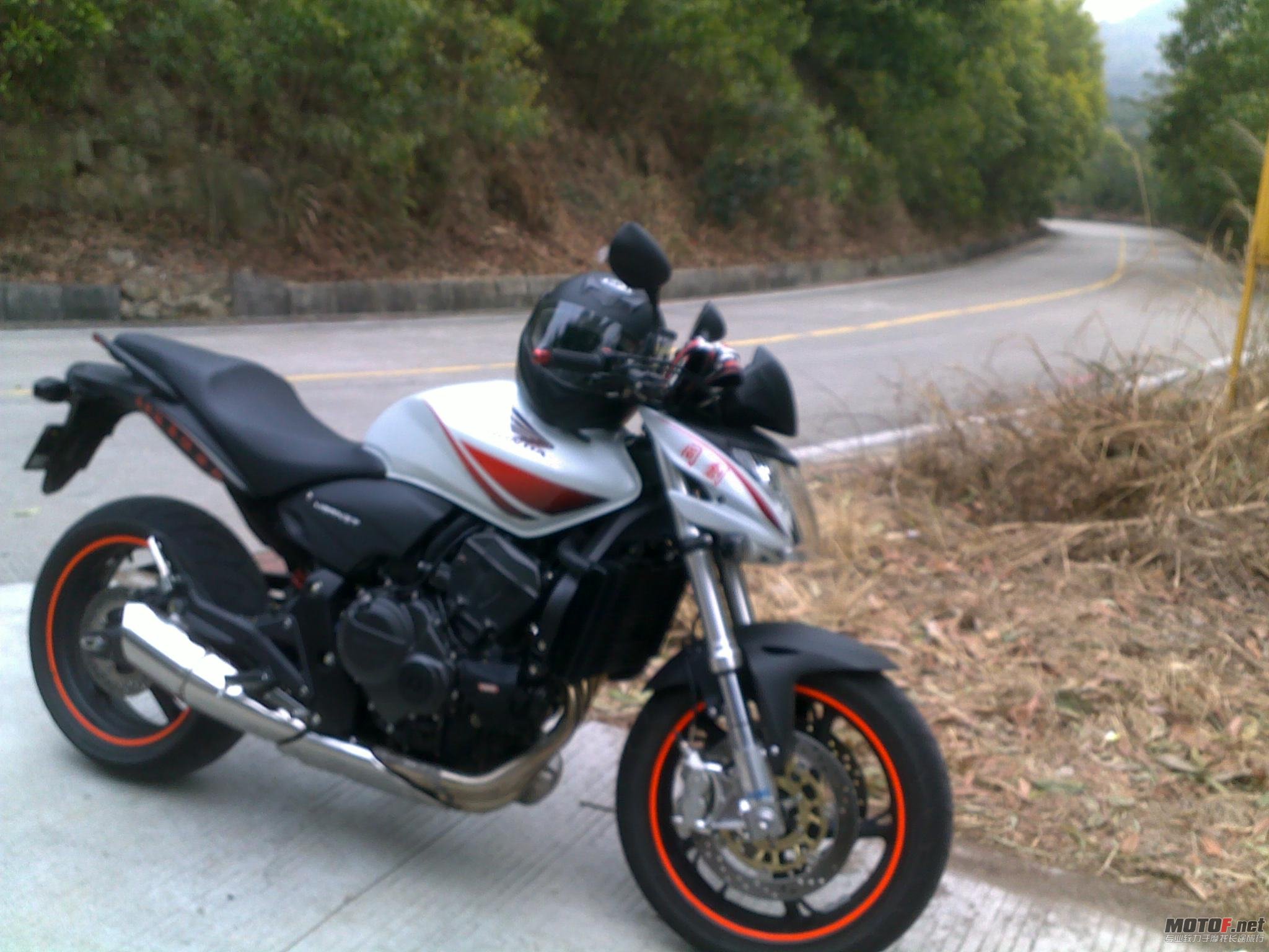 20110123502.jpg