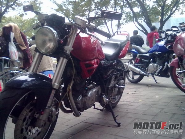 20110123481.jpg