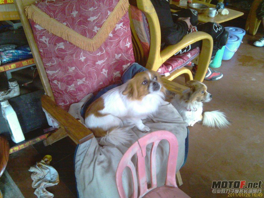 IMAG0352_conew1.jpg
