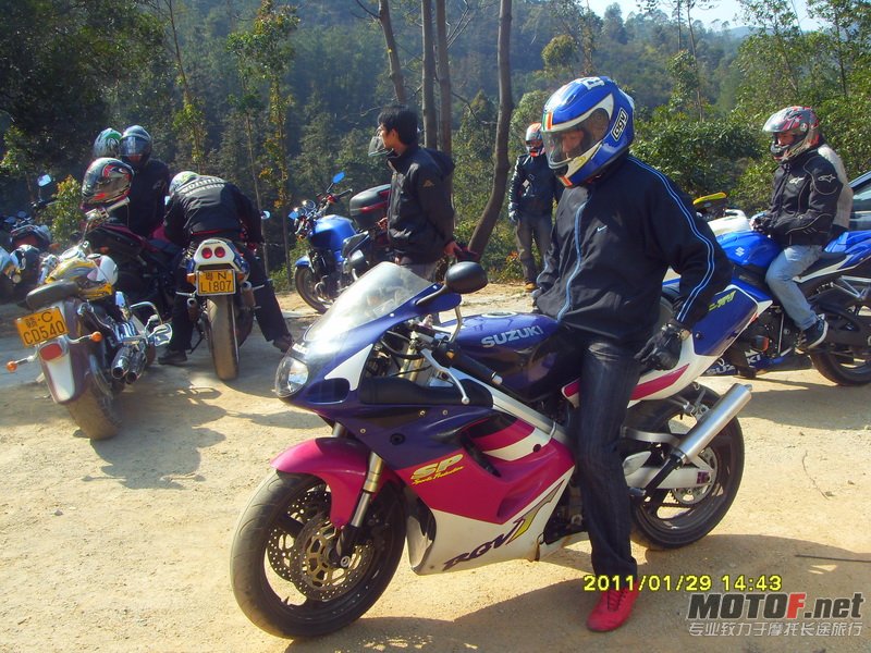 高明茶山 (32)_调整大小.JPG