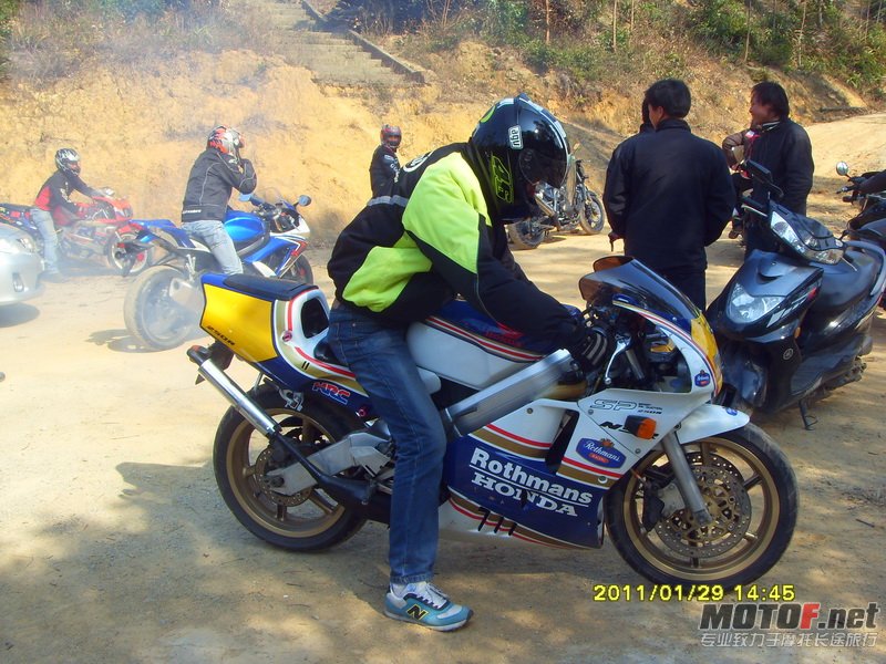 高明茶山 (39)_调整大小.JPG