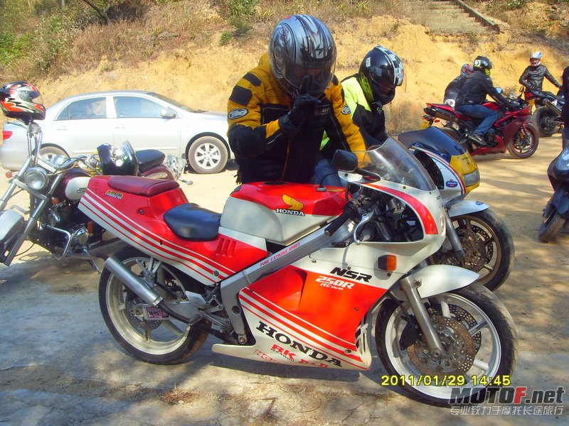 高明茶山 (40)_调整大小.JPG