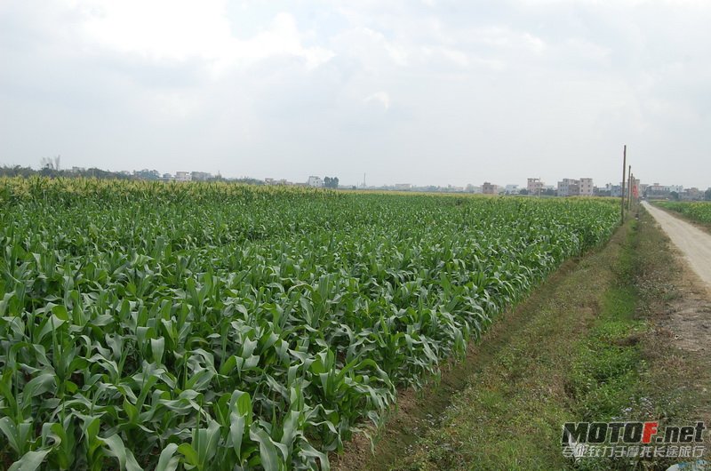 DSC_0174_调整大小.JPG