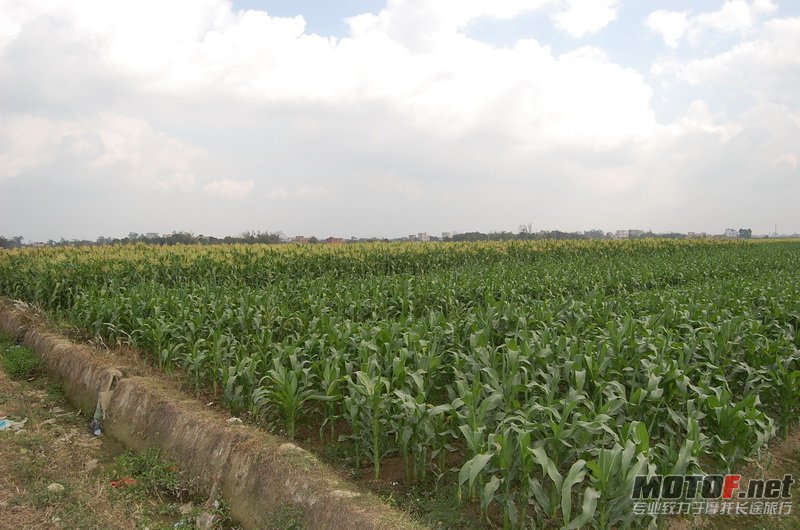 DSC_0175_调整大小.JPG