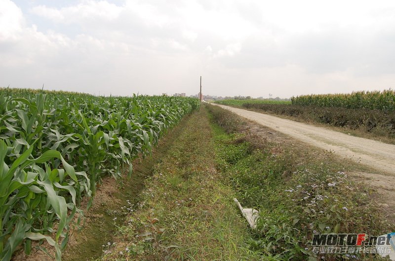 DSC_0178_调整大小.JPG