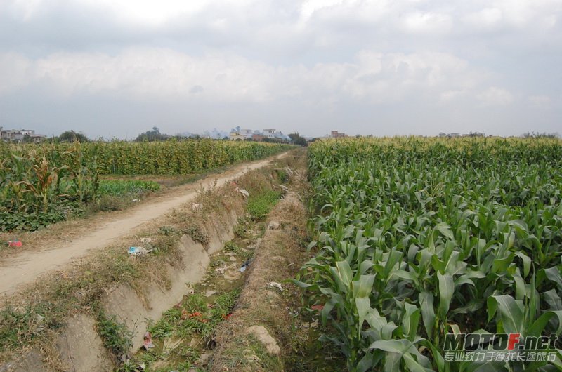 DSC_0180_调整大小.JPG