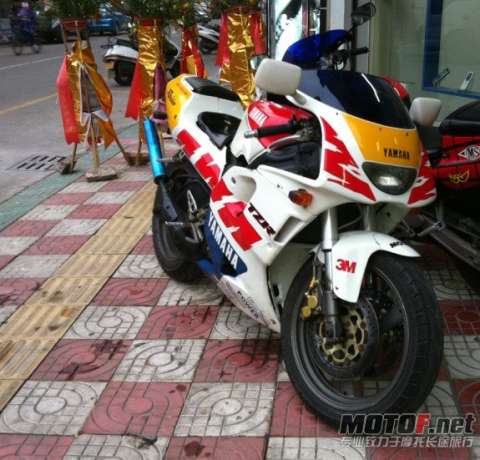 3XV 西风750 鸭仔100<3XV已售》