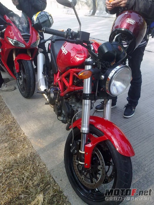 nEO_IMG_20110206038.jpg