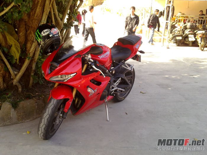 nEO_IMG_20110206248.jpg